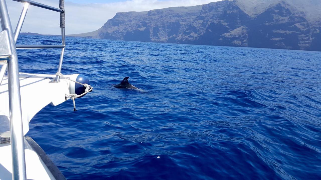 Top View Acantilados De Los Gigantes Acantilado de los Gigantes Ngoại thất bức ảnh