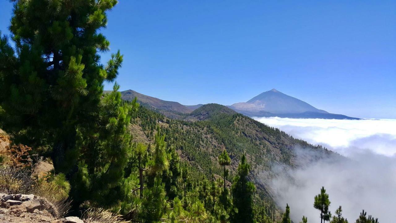 Top View Acantilados De Los Gigantes Acantilado de los Gigantes Ngoại thất bức ảnh