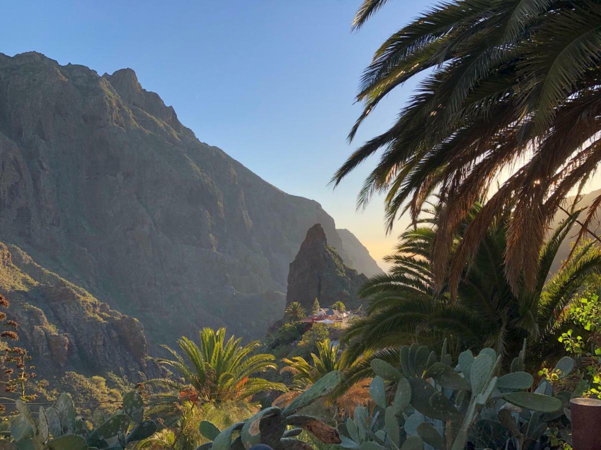Top View Acantilados De Los Gigantes Acantilado de los Gigantes Ngoại thất bức ảnh
